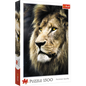 Jigsaw Puzzles - "1500" - Lions portrait / 500 px