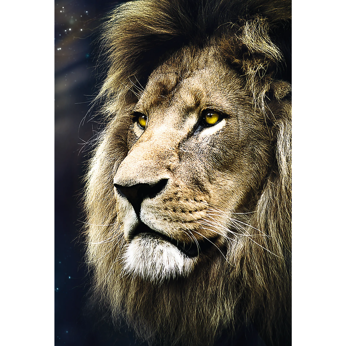 Jigsaw Puzzles - "1500" - Lions portrait / 500 px