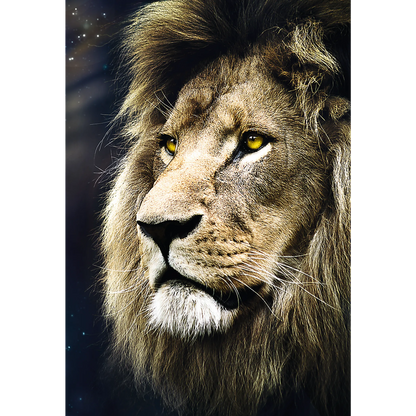 Jigsaw Puzzles - "1500" - Lions portrait / 500 px