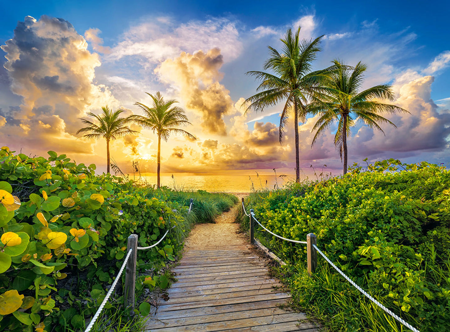 Colorful Sunrise in Miami, USA, 3000 Piece Jigsaw Puzzle