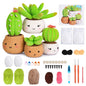 Succulents Crochet Kit Crochet Kit