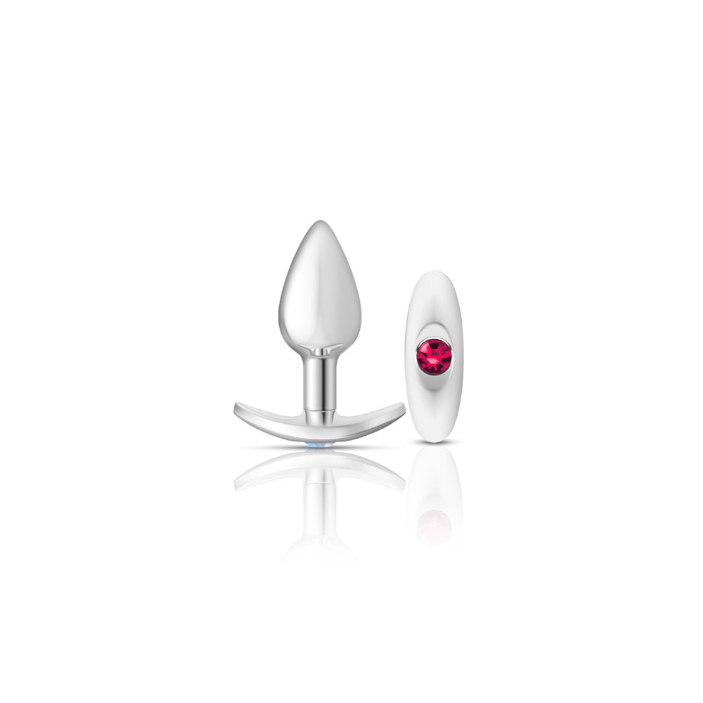 Cheeky Charms-Silver Metal Butt Plug Kit -Clear/bright Pink VB-CC9140