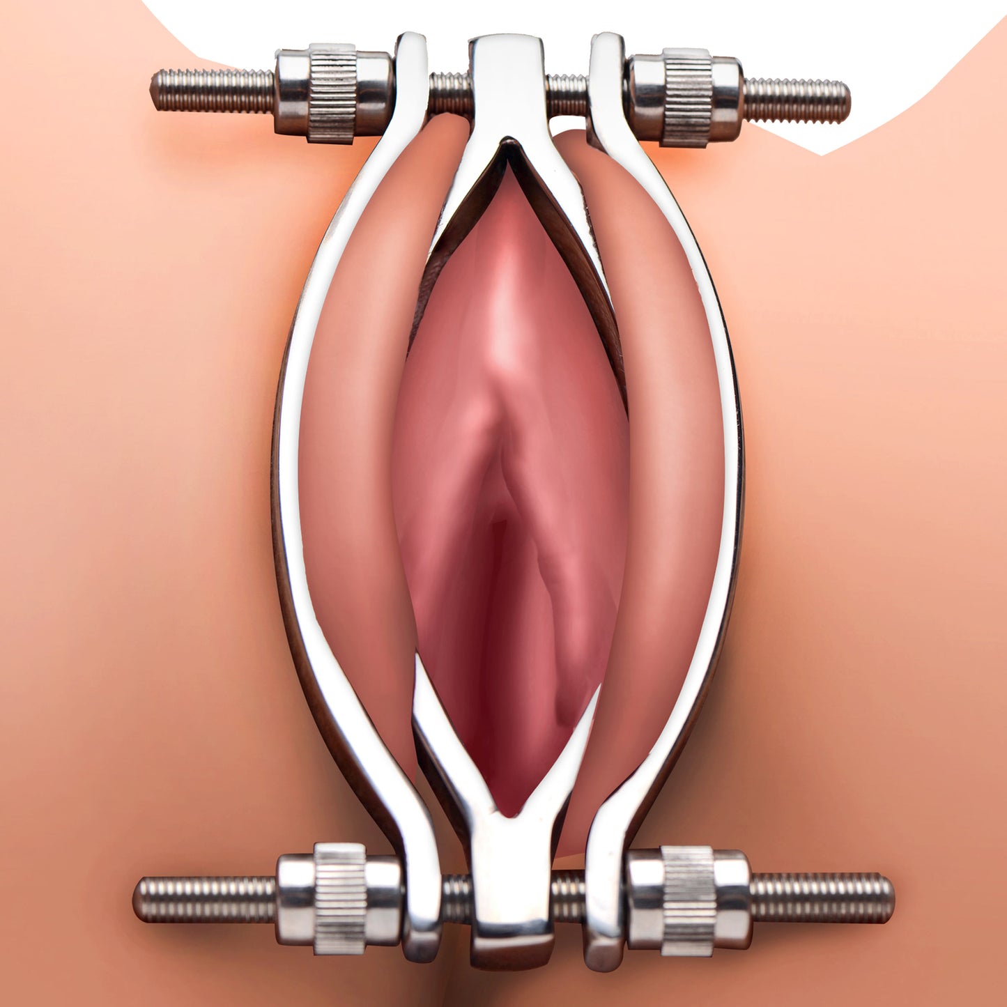 Stainless Steel Adjustable Pussy Clamp