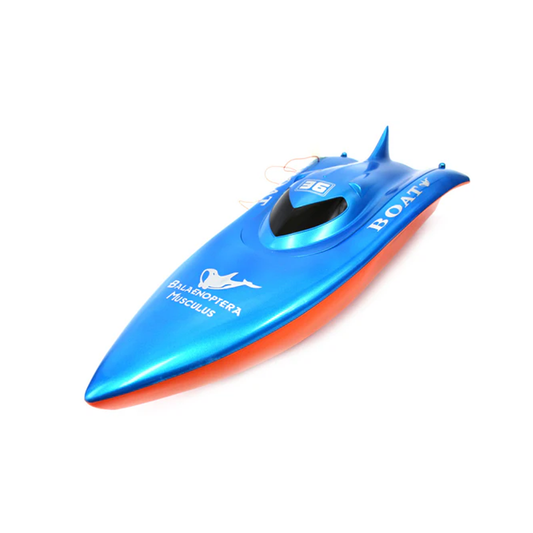 AZ Trading & Import 23" Balaenoptera Musculus Racing Boat