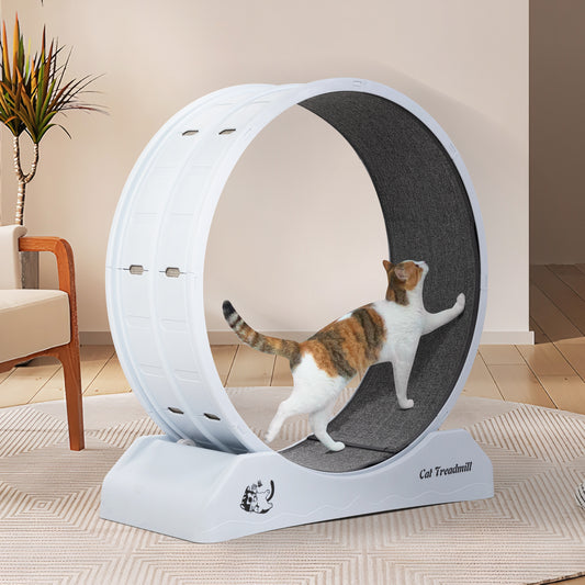 Cat Running Wheel, Small Animal Exercise Treadmill w/ Locking Mechanism, Carpet Runway, Cat Teaser Toy, Indoo