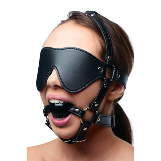 Blindfold Harness and  Ball Gag