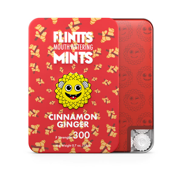 Flintts Cinnamon Ginger Mints F300 Mouth Watering - US Stores