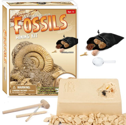 AZ Trading & Import Dinosaur Bone Fossil Dig Kits