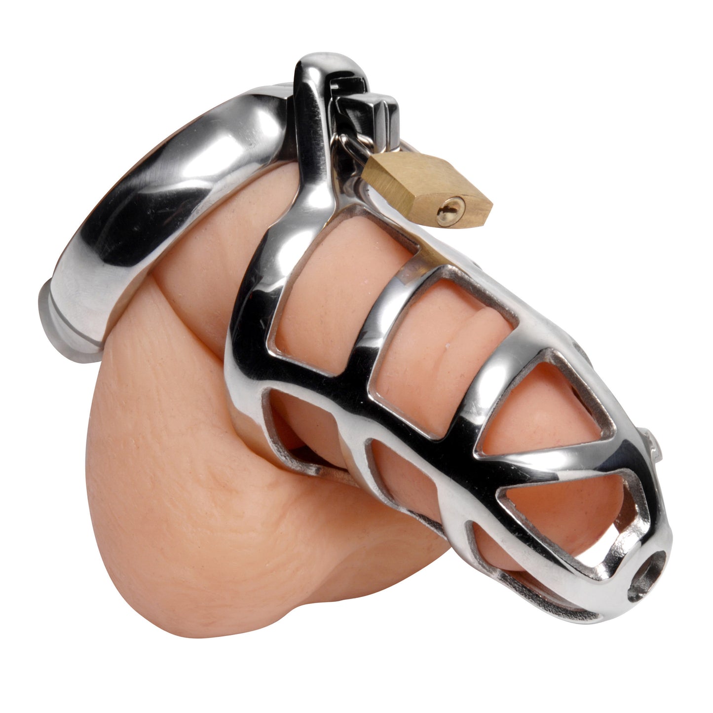 Detained Stainless Steel Chastity Cage