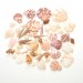 AZ Trading & Import Mixed Beach Sea Shells For Decoration (Bag Of 100 Shells)