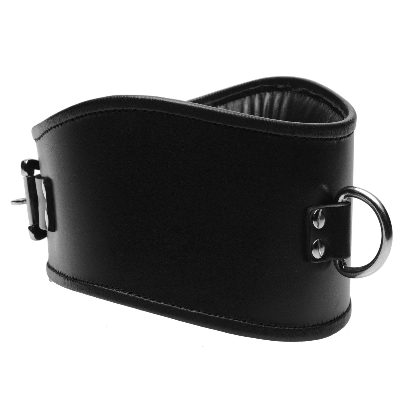 Padded Leather Locking Posture Collar